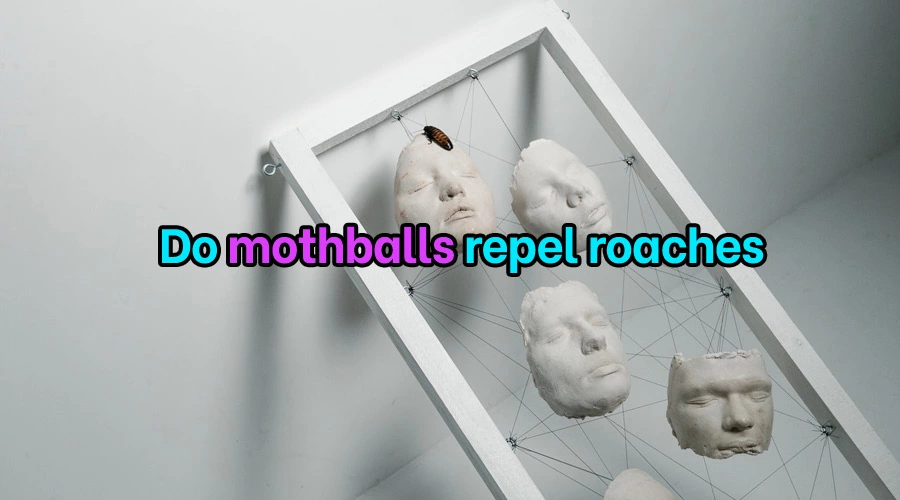 Do mothballs repel roaches