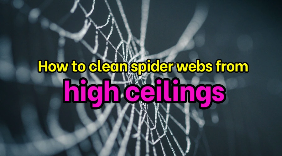 How to clean spider webs from high ceilings