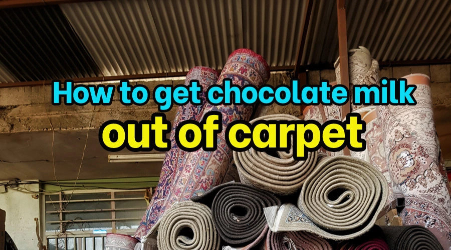 How to get chocolate milk out of carpet