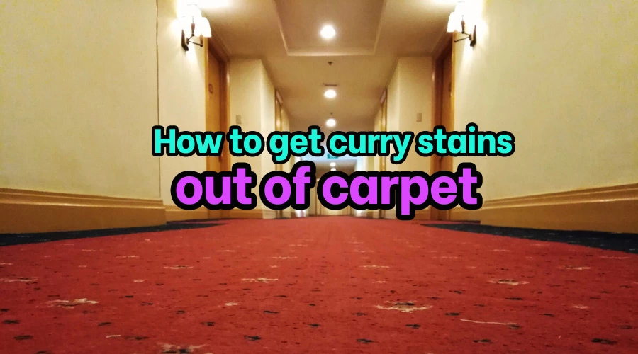 How to get curry stains out of carpet
