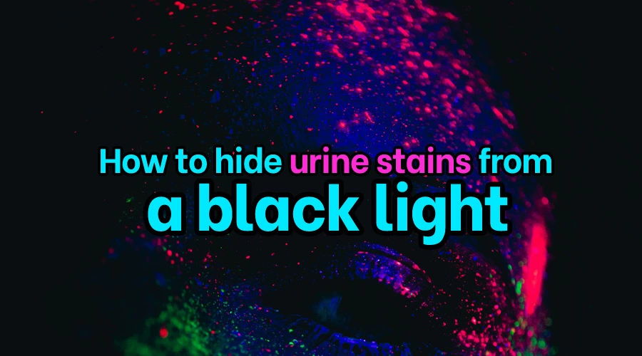 How to hide urine stains from a black light