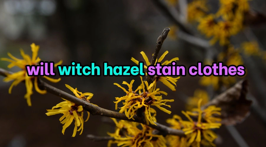 Will witch hazel stain clothes