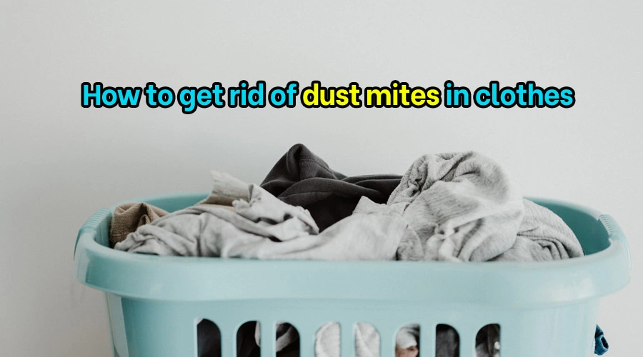 How to get rid of dust mites in clothes