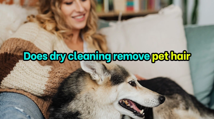 Does dry cleaning remove pet hair