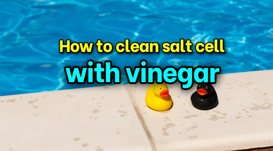 How to clean salt cell with vinegar