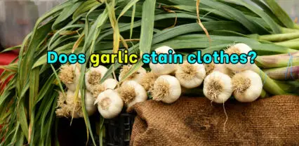 Does garlic stain clothes?